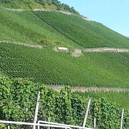 Weinhaus Hotel Zum Josefshof Graach 외부 사진