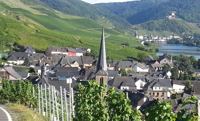 Weinhaus Hotel Zum Josefshof Graach 외부 사진