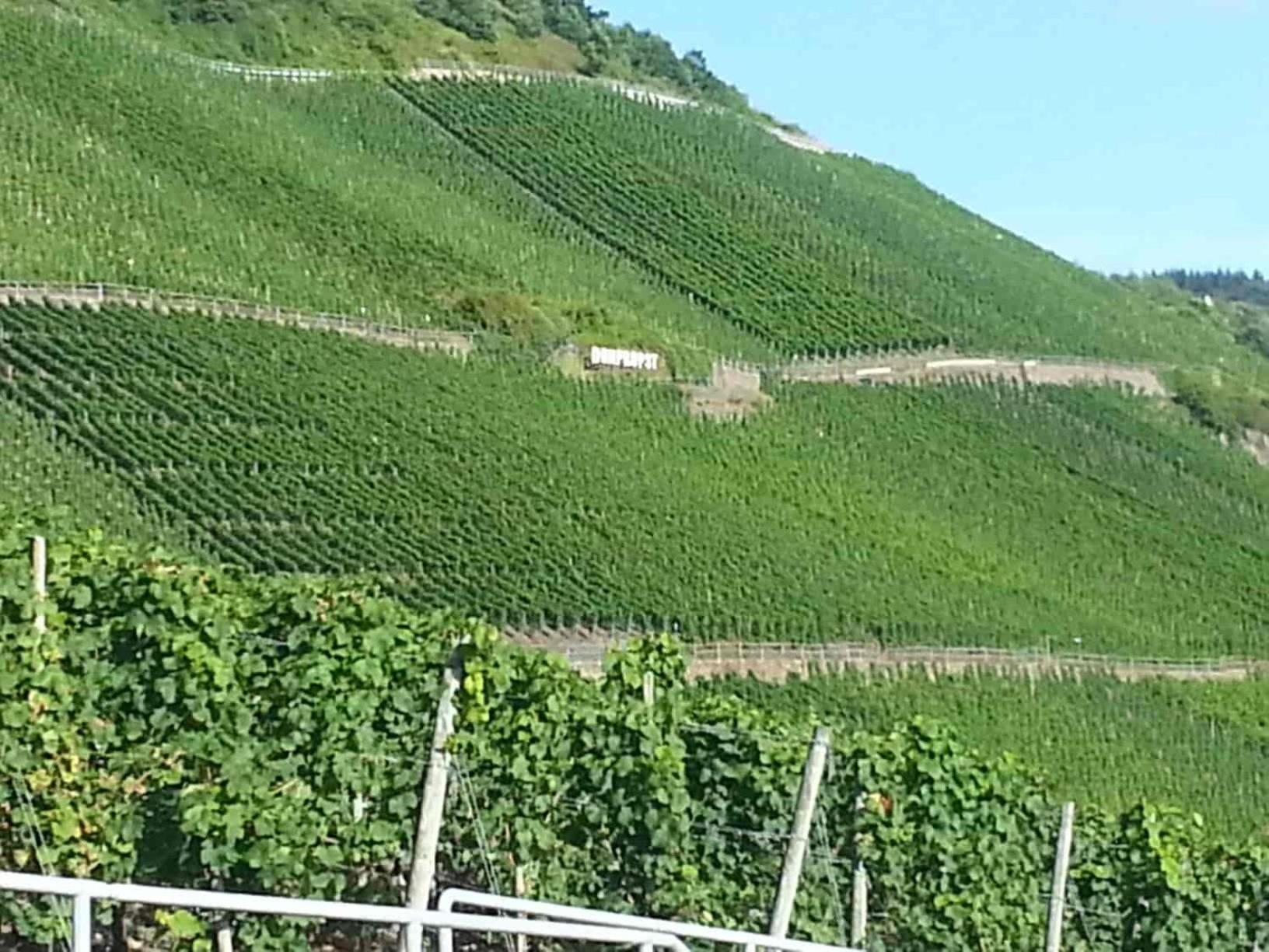 Weinhaus Hotel Zum Josefshof Graach 외부 사진